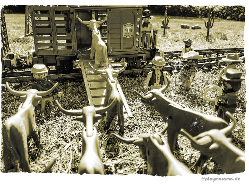 Viehverladung der Longhorns in Viehwagen am Western-Bahnhof. Millionen Rinder werden mit Eisenbahnen abtransportiert