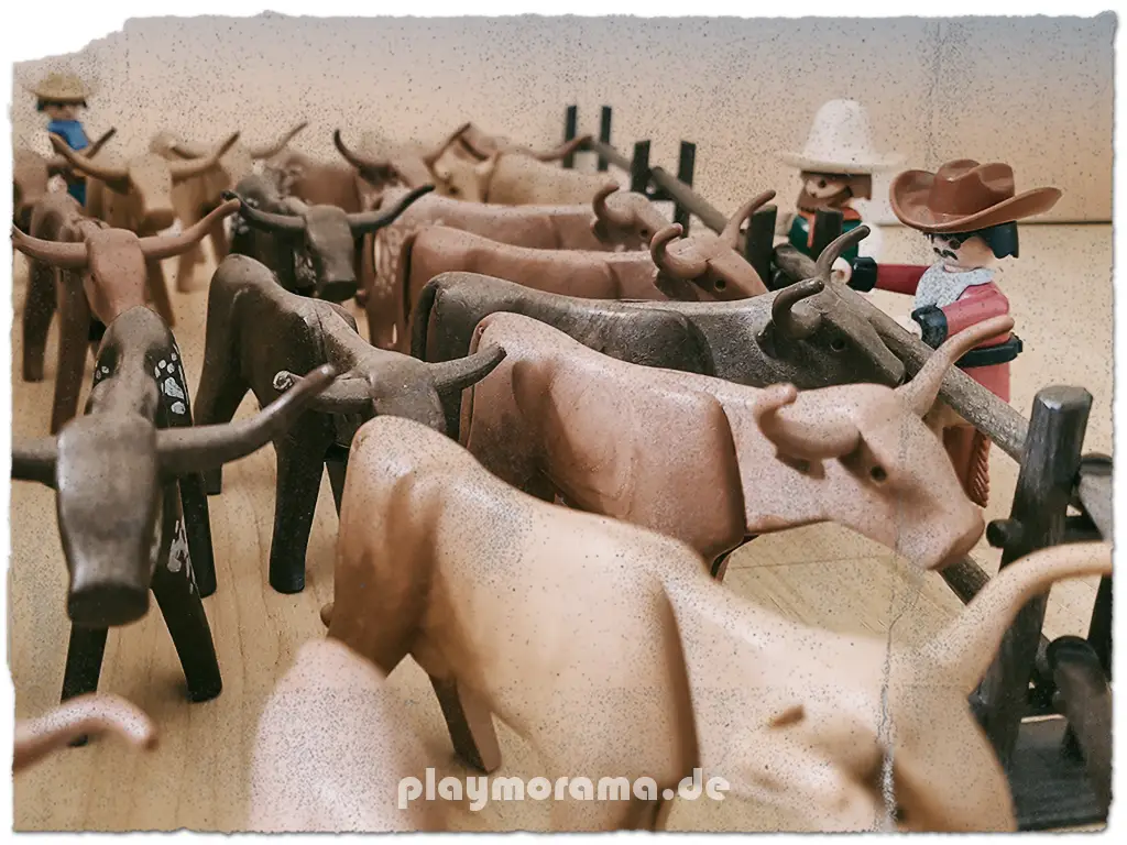 Die Cowboys haben die Rinder in einem Gatter zusammengepfercht.