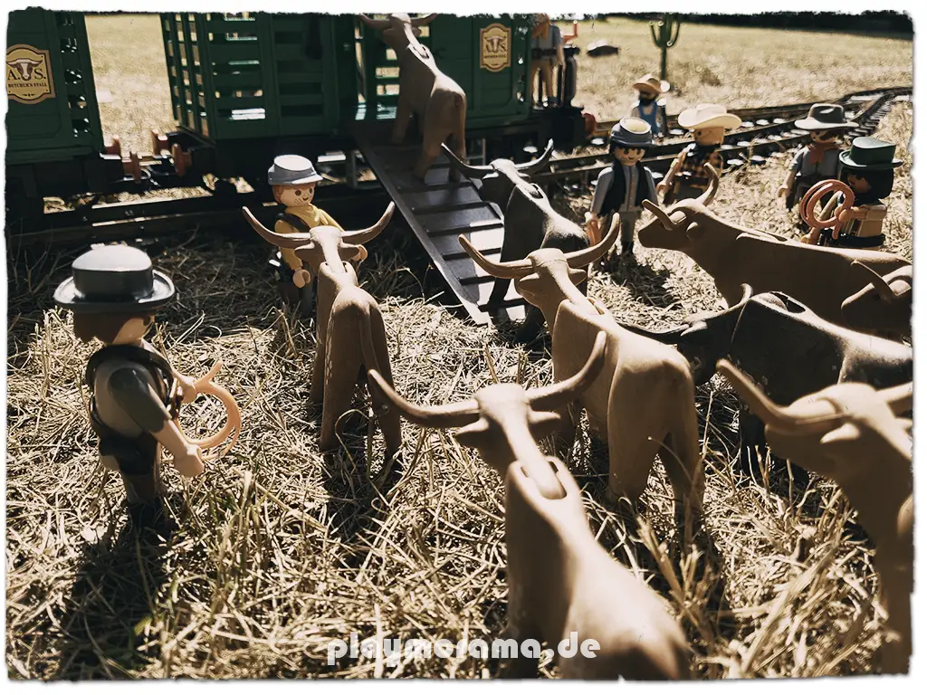 Die Rinder werden auf Waggons verladen. Millionen Rinder werden mit Eisenbahnen abtransportiert.
