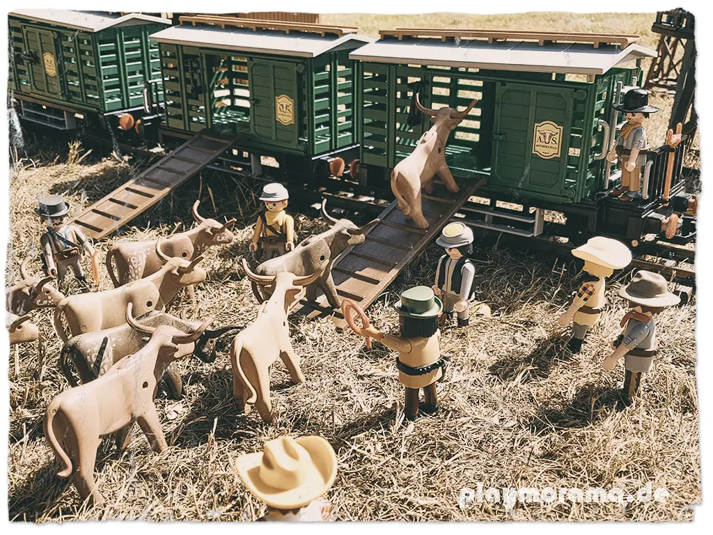 Die Eisenbahn bring die Viehwagen mit den Rindern an ihren Bestimmungsort