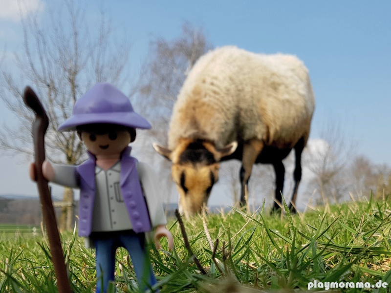 Milka Schäfer mit echtem Schaf