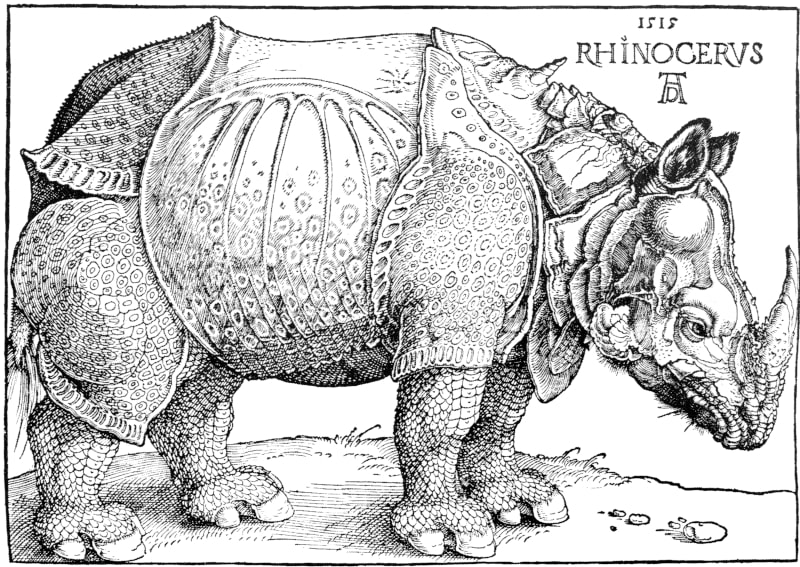 Rhinocerus ist der Titel eines grafischen Werkes von Albrecht Dürer aus dem Jahre 1515.