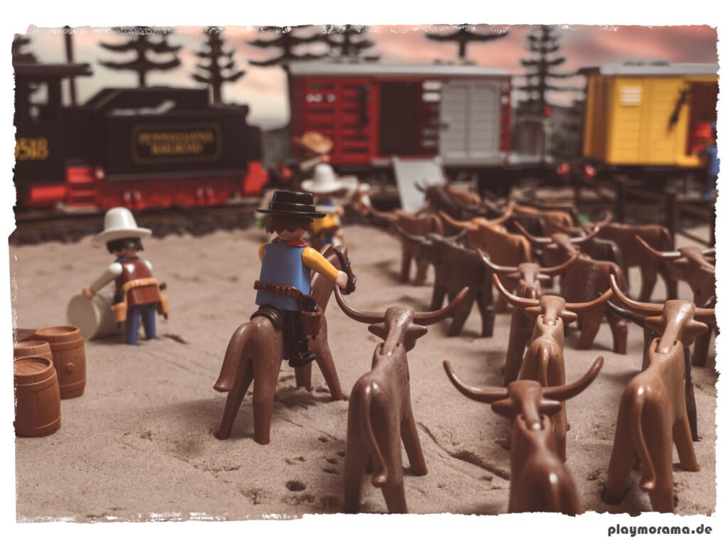 Longhorn Rinder werden in Güterwaggons verladen
